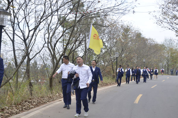 陽光行、快樂游